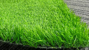 Garanzia anti-UV paesaggio grass.jpg