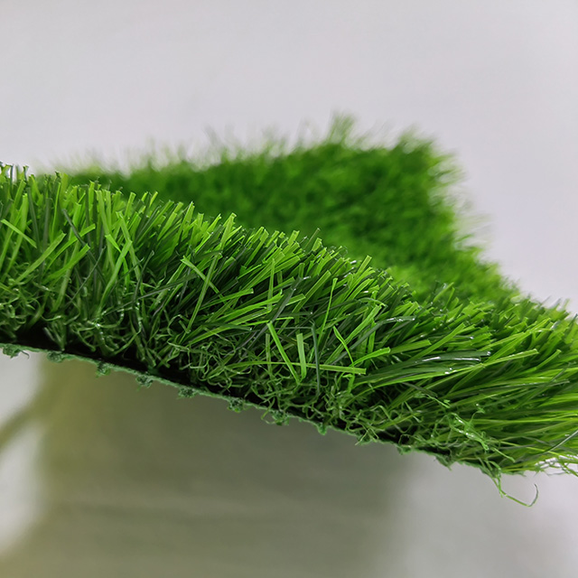 erba finta per giardino