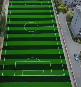 Voetbal Synthetisch Gras.png