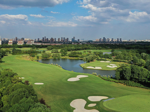 اعلی معیار کی مصنوعی ڈال گرین turf.jpg