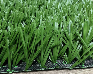 forma d'onda calcio grass.jpg