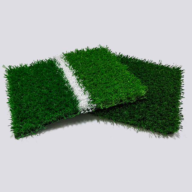  herbe de football