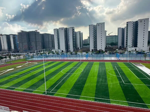XiHY Campo da calcio in erba da 55 mm.jpg