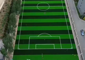 50 mm kunstgras voetbalveld.jpg