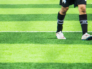 beste gras voor voetbalveld.jpg