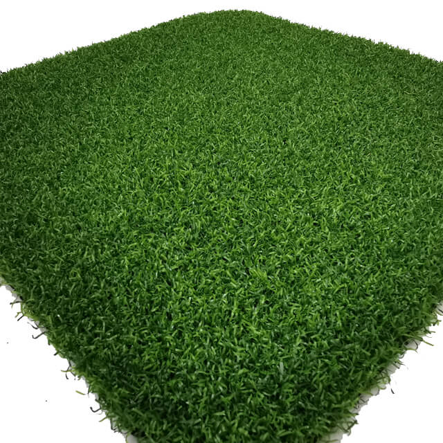 nyumbani ndani kuweka kijani