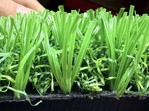 Novum genus agri artificialis eu grass.JPG